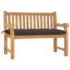 Banc De Jardin Avec Coussin 120 Cm Bois De Teck Massif