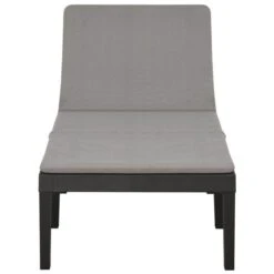 Chaise Longue Avec Coussin Plastique Anthracite -Esprit Plein Air chaise longue avec coussin plastique anthracite 3666722351706 947261