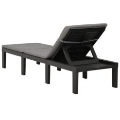 Chaise Longue Avec Coussin Plastique Anthracite -Esprit Plein Air chaise longue avec coussin plastique anthracite 3666722351706 947263