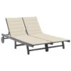 Chaise Longue De Jardin 2 Places Avec Coussin Gris Acacia 7